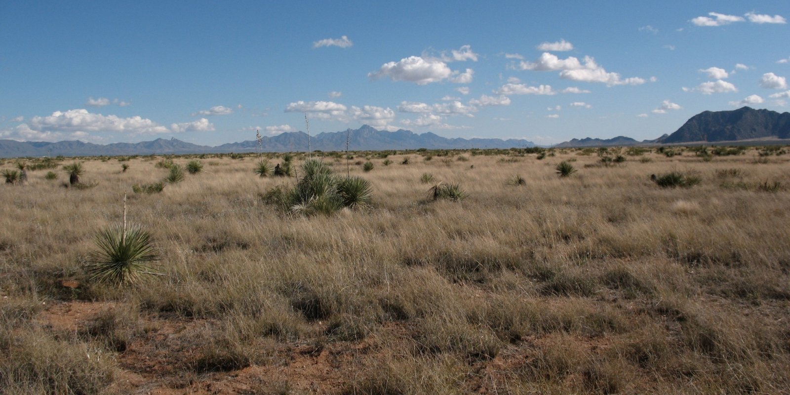 Jornada Basin
