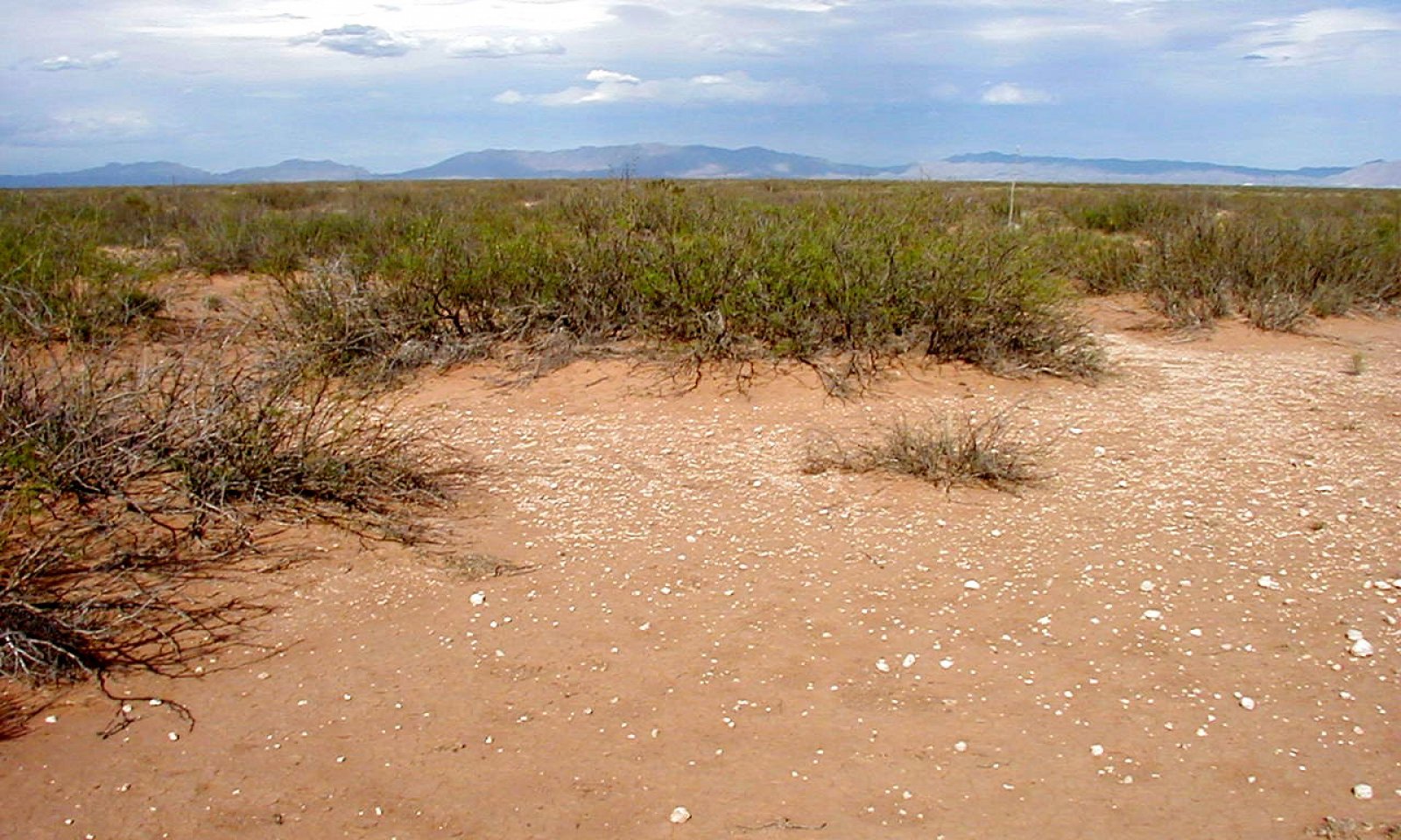 Shallow sandy, PRGL, CDRRC