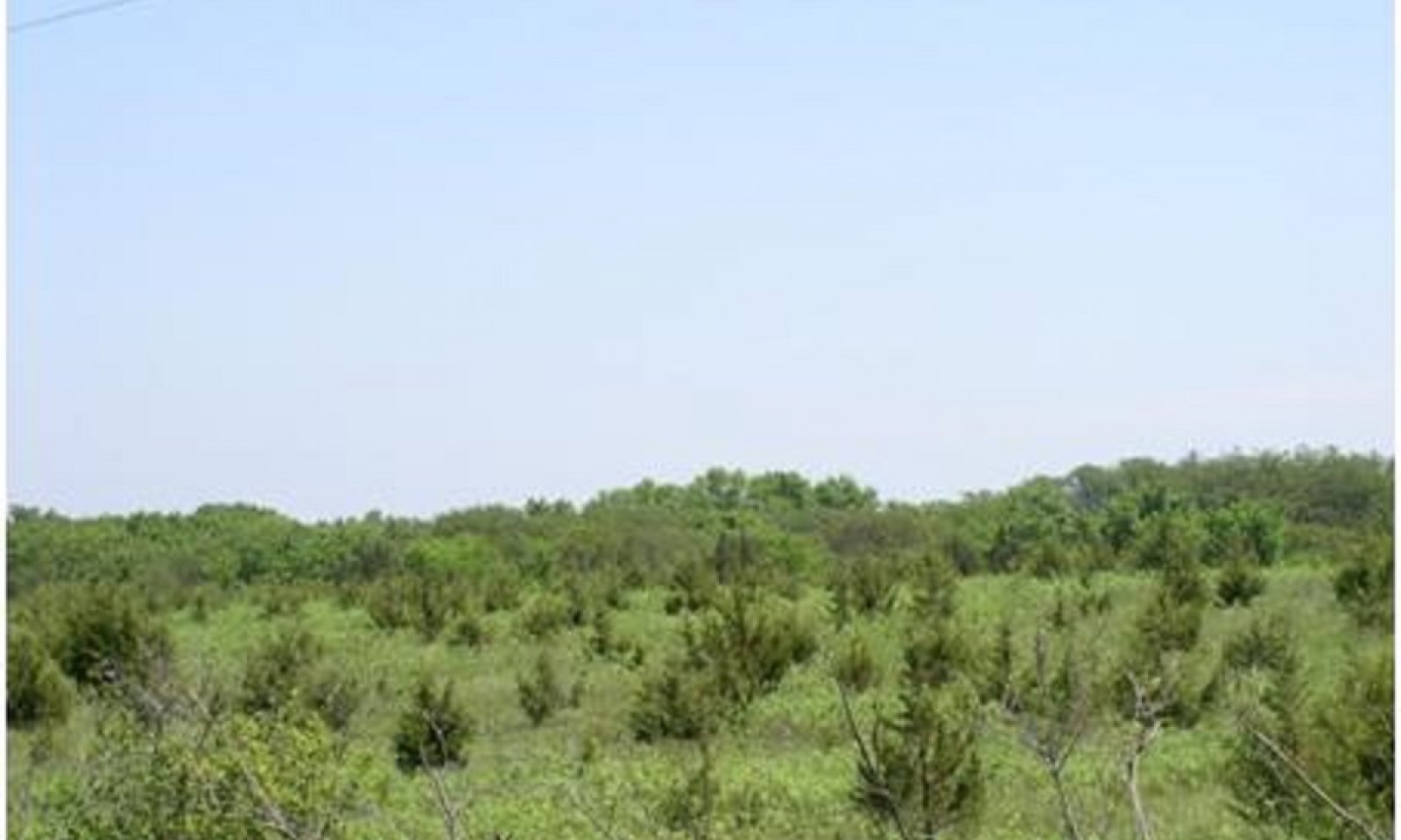 R075XY058NE_lu_plant_comm_4_1-2