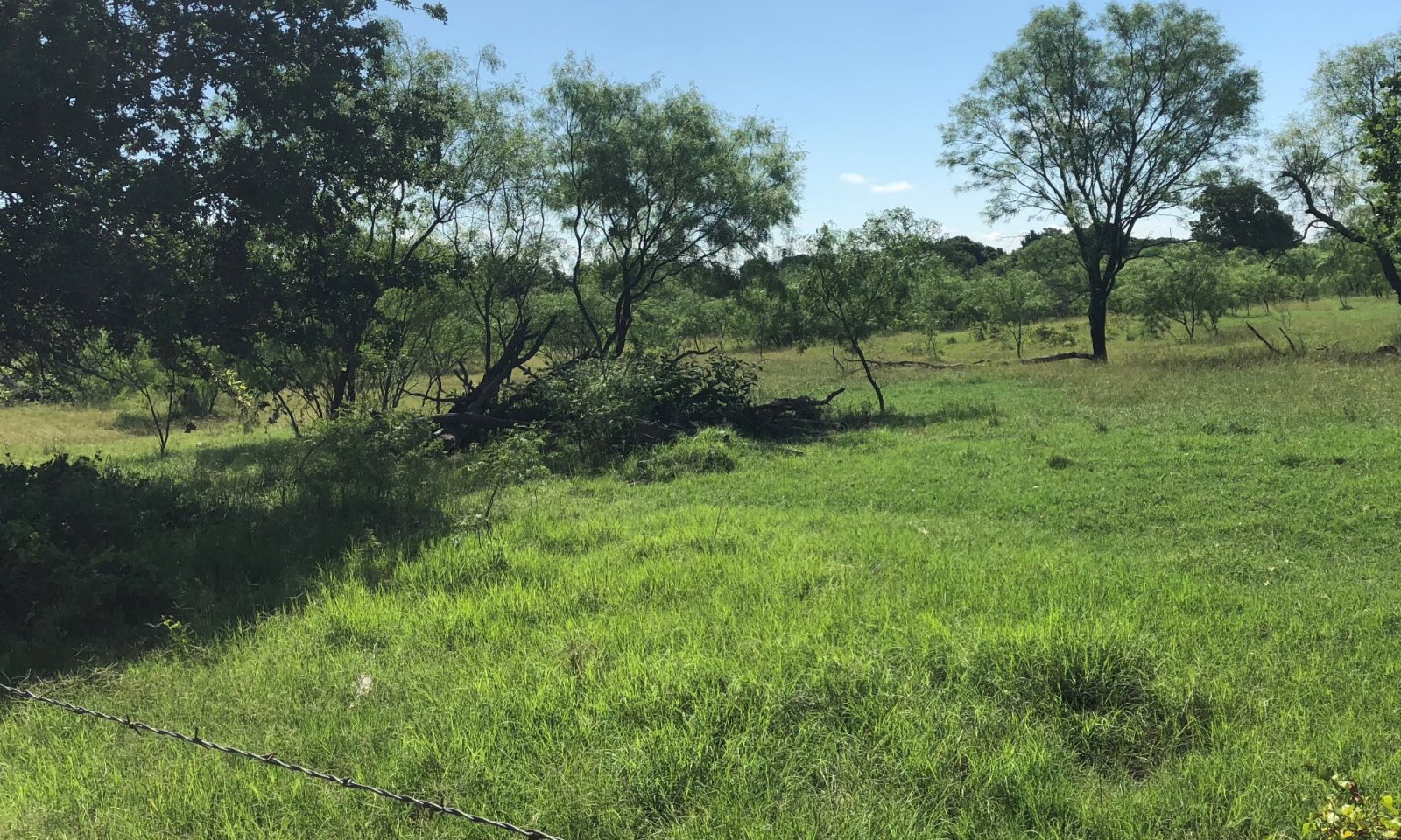 sandy loam pasture