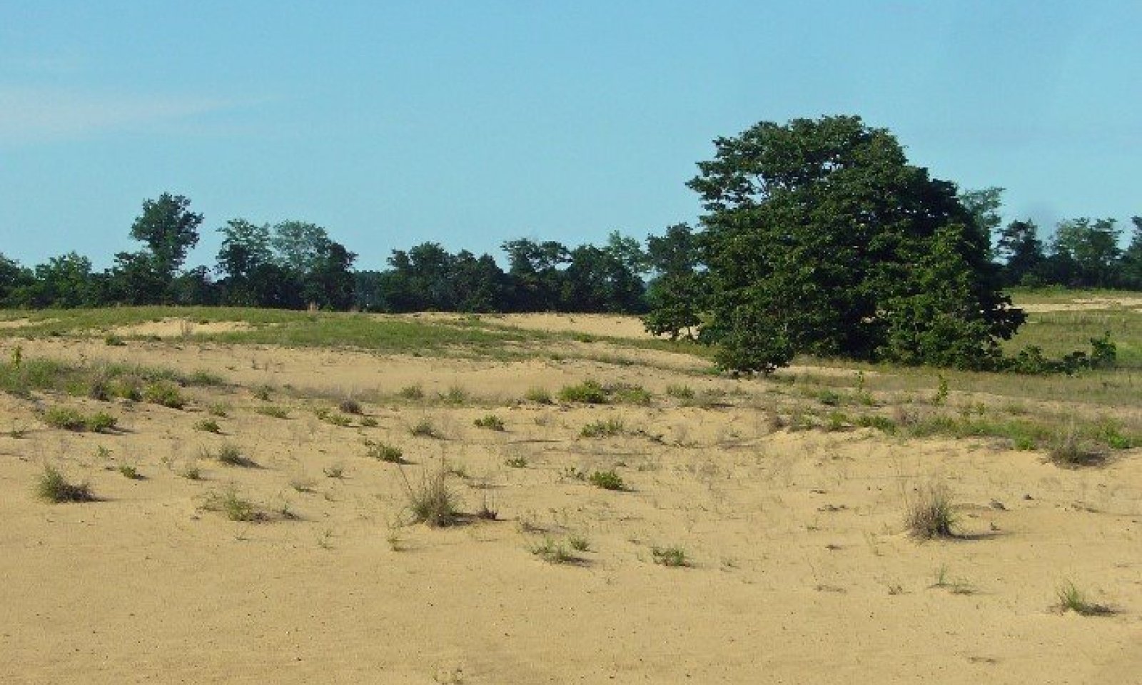open sand