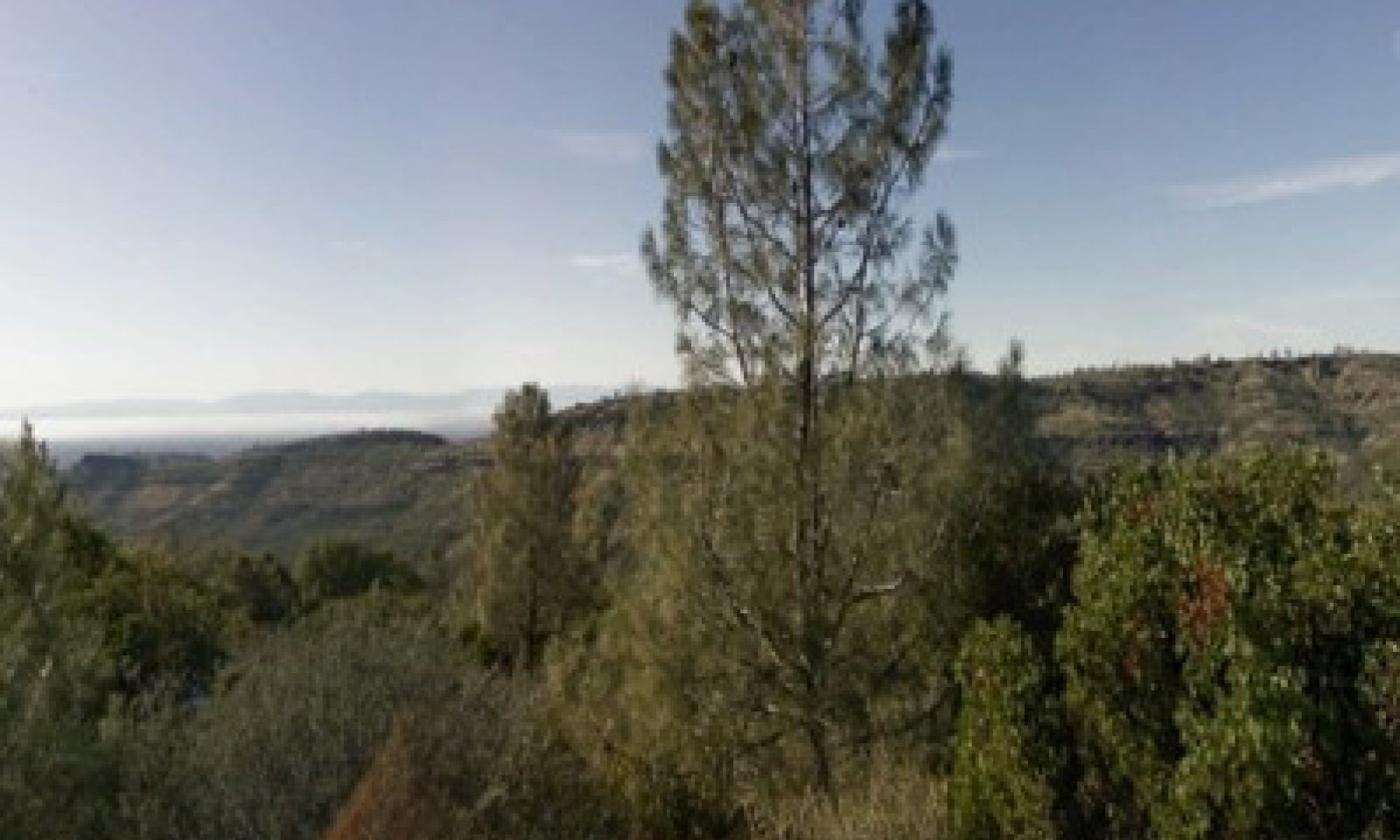 Picture1.2jpg.