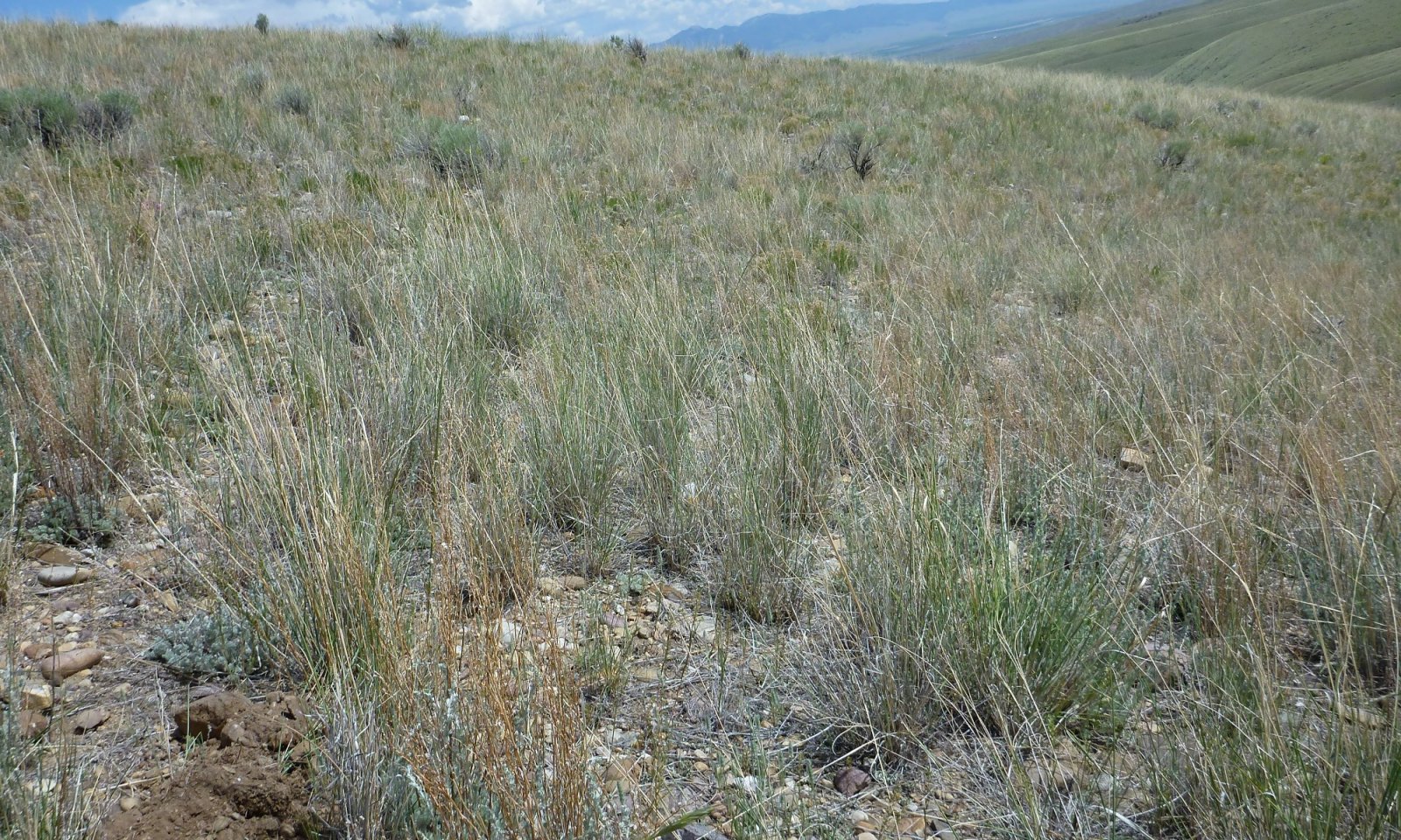 P1010863