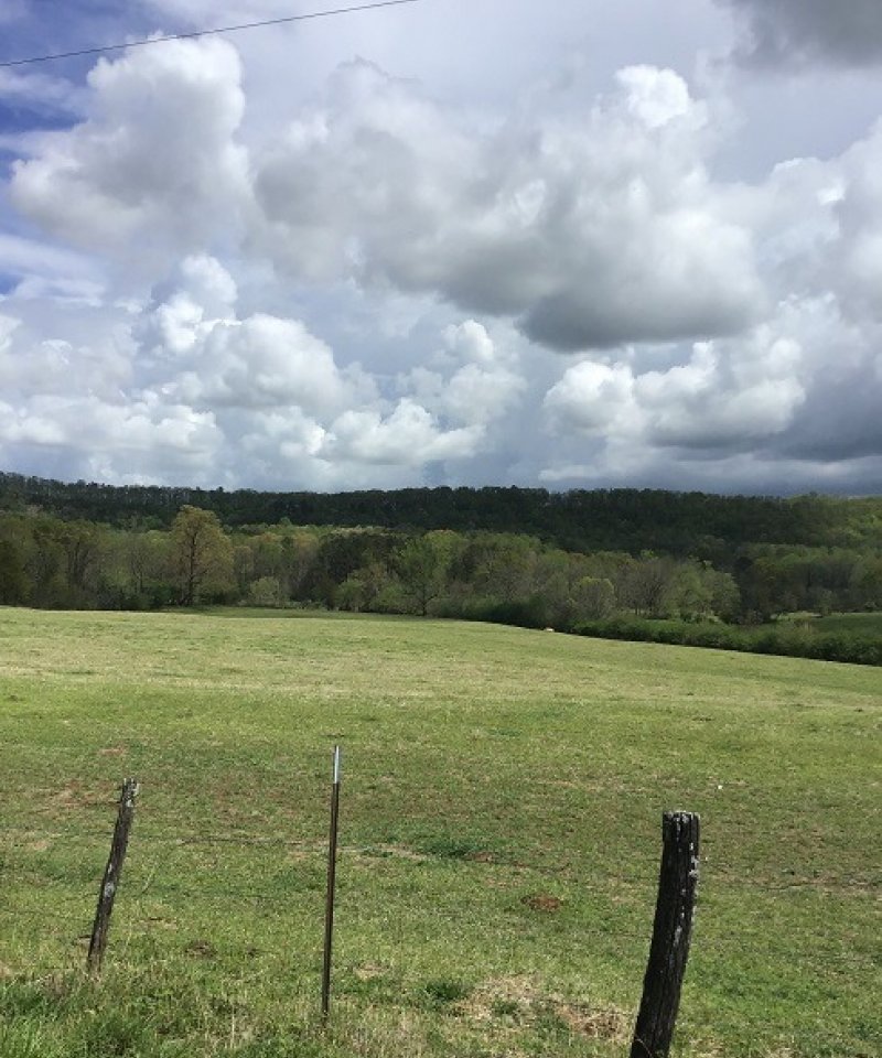 SSR_Pasture
