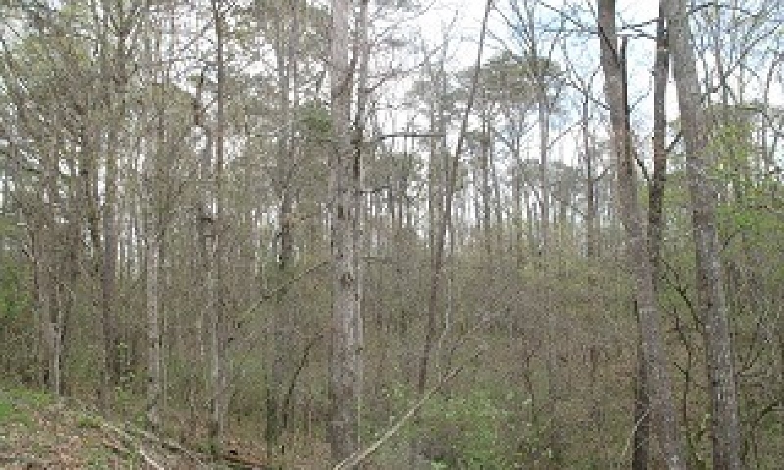 SSR_Hardwoods