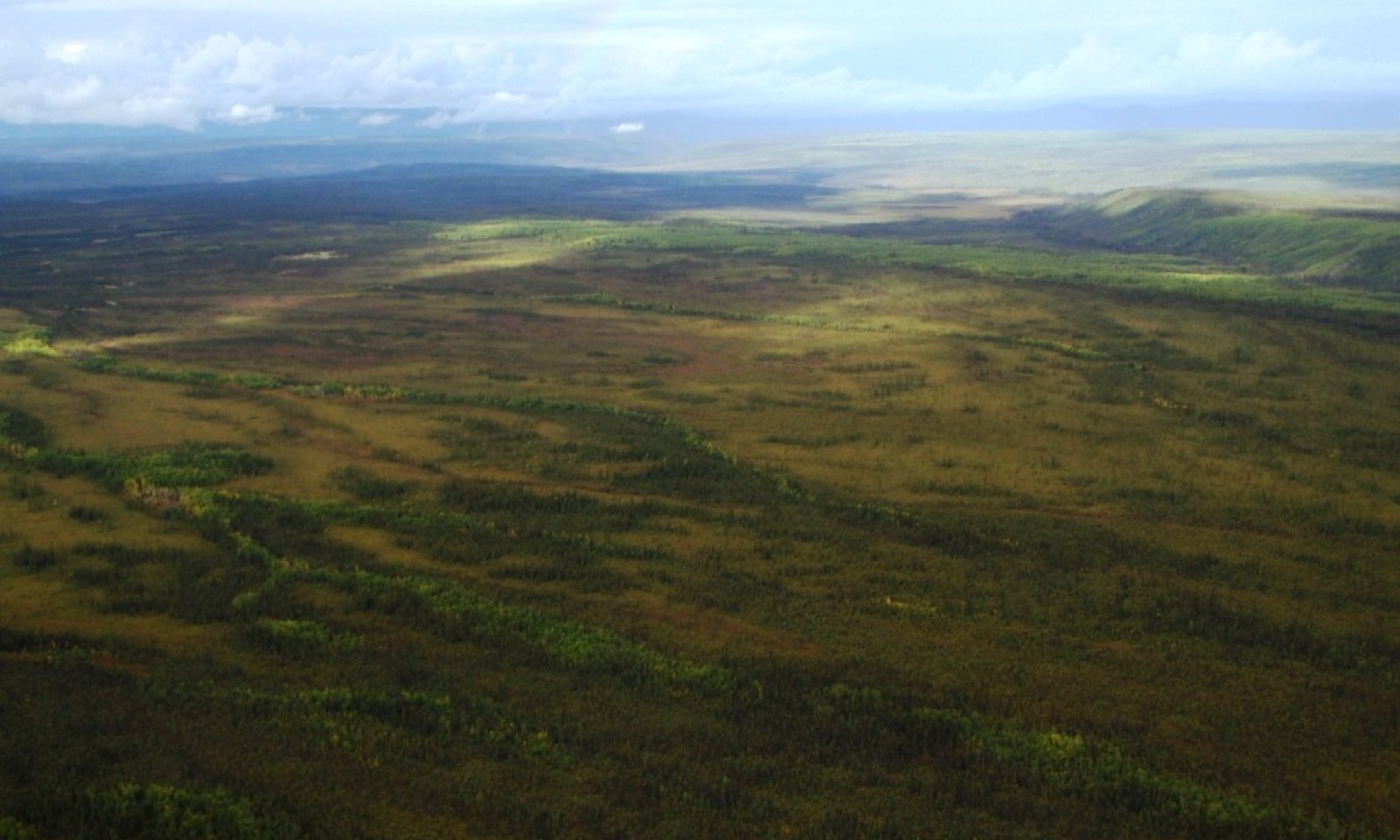 marginal uplands
