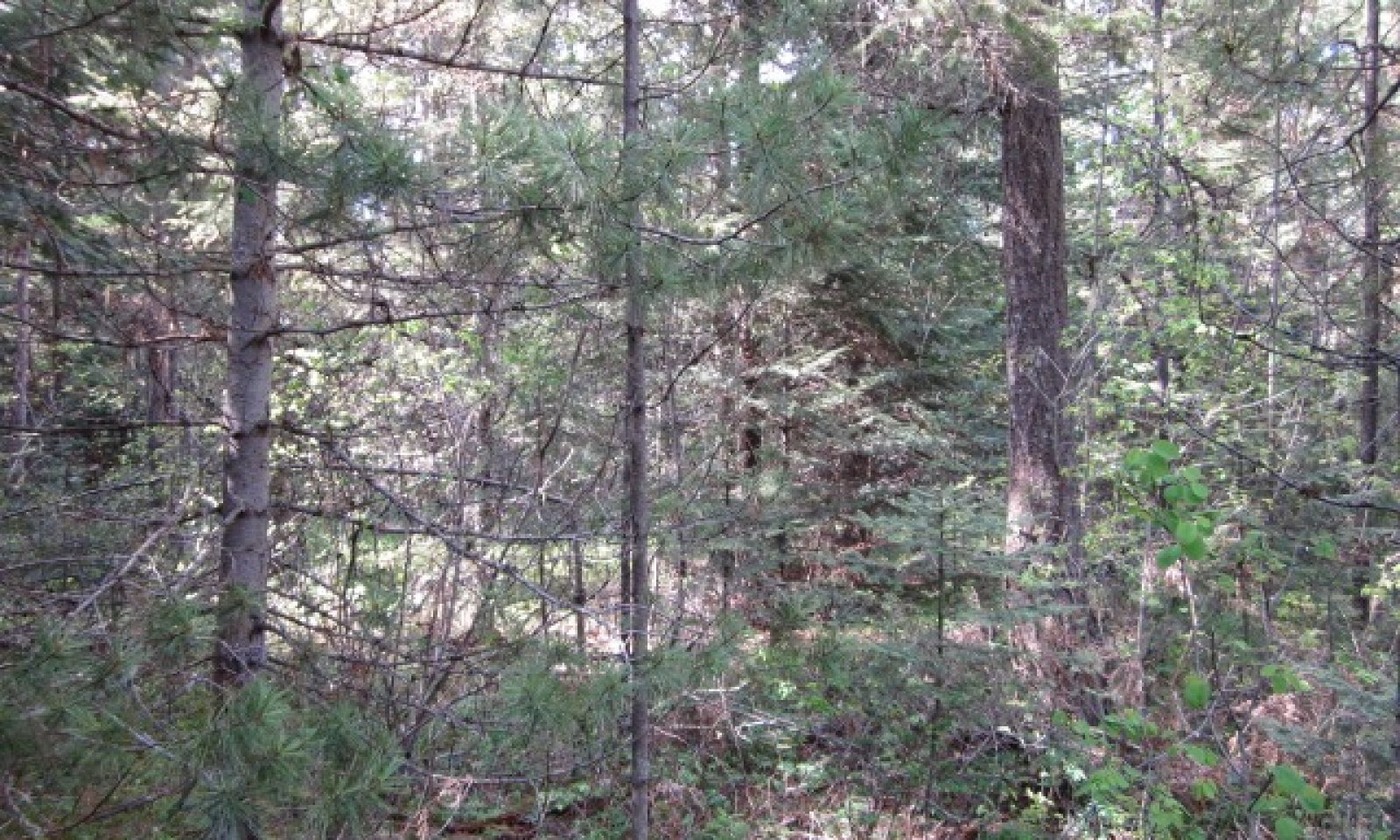 c0407f02a
