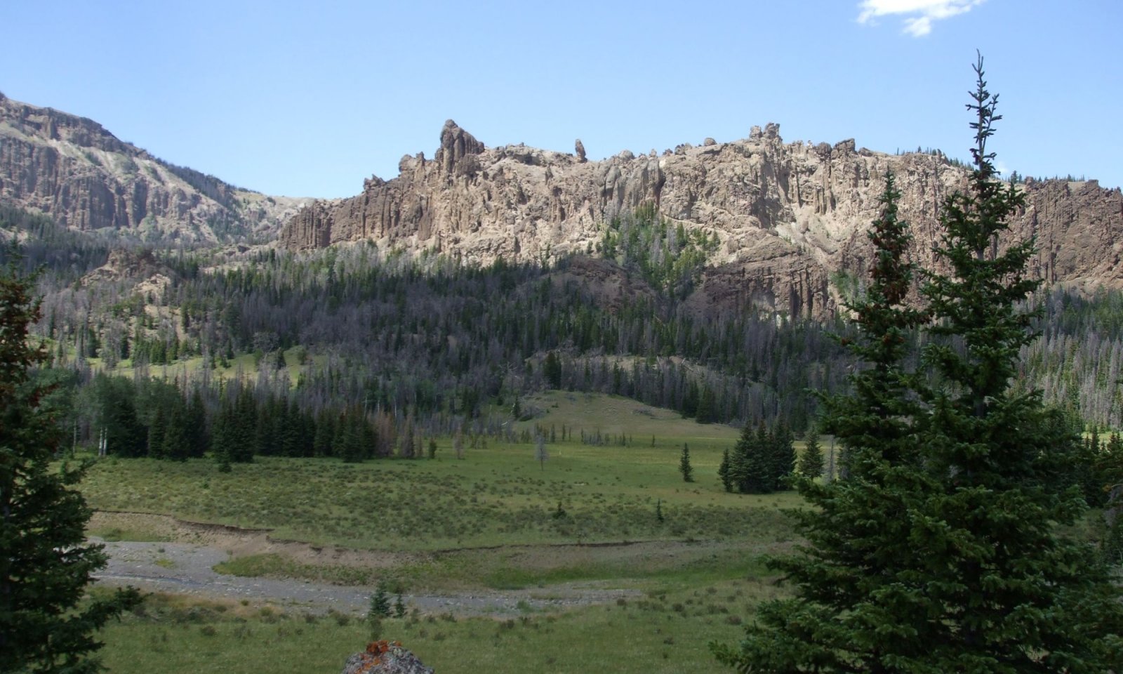 DSCF1729
