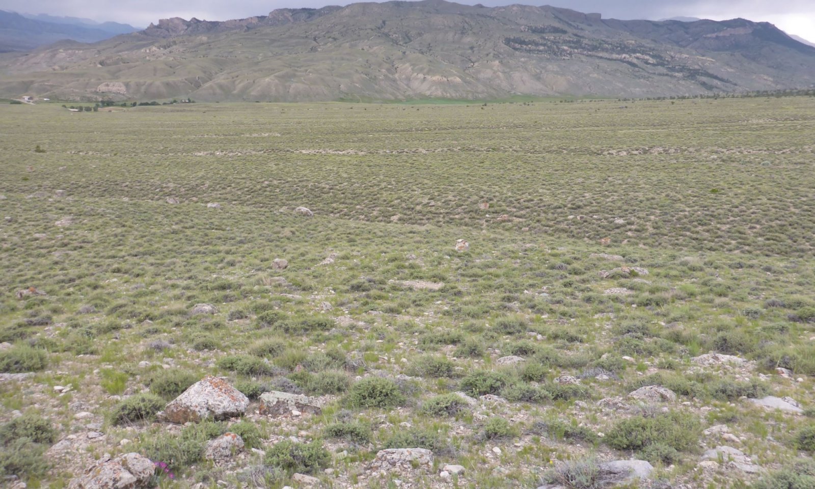 2019WY629129 (4)
