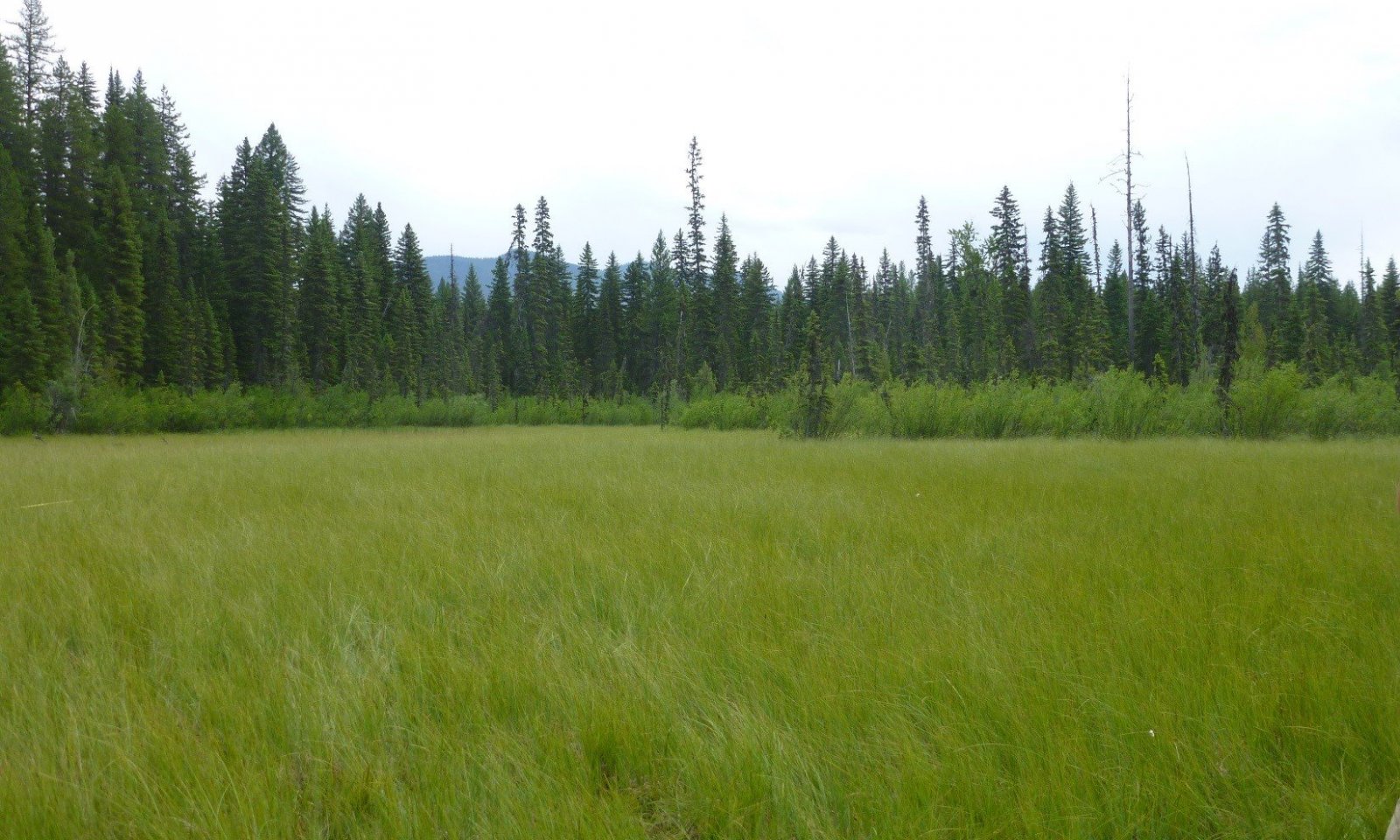 basin1