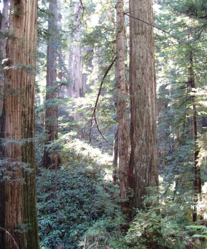 F004BI104CA_Image