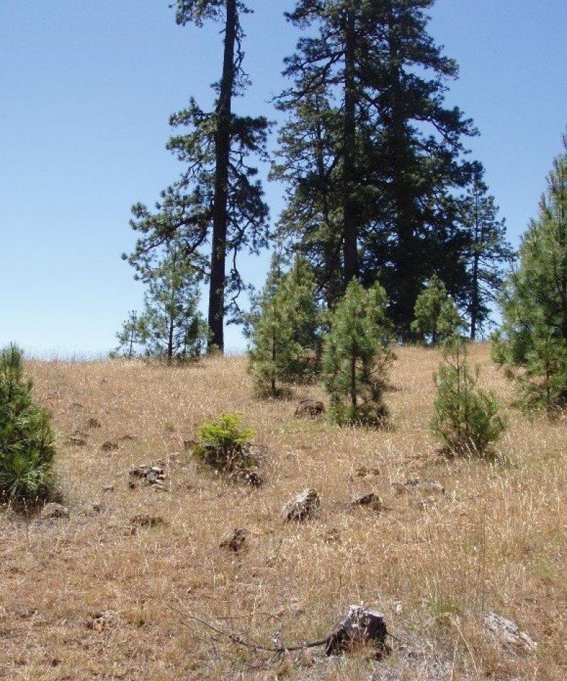 F004BI105CA_Image