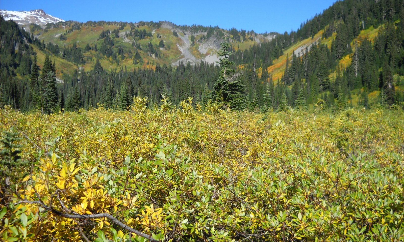 11-PHR-084_site3