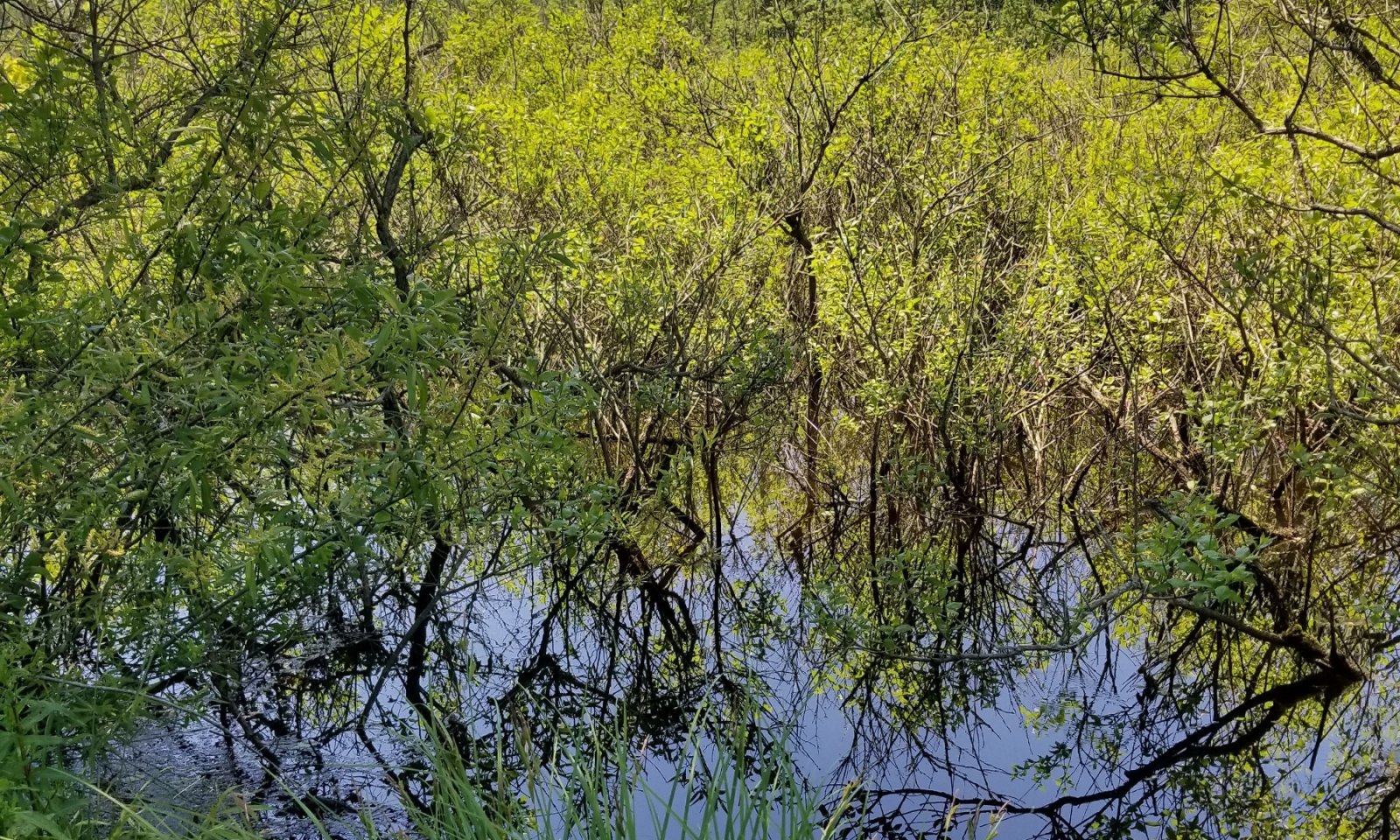 20180524_140811