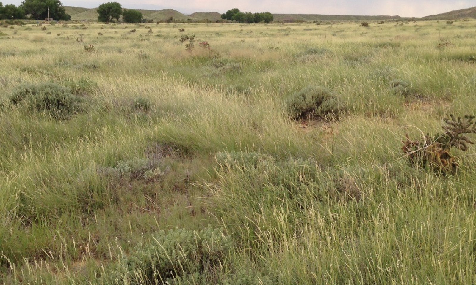 Shaly_Plains_CEAP_Tour_Rifle_Range_6-22-16_Crowley_Co