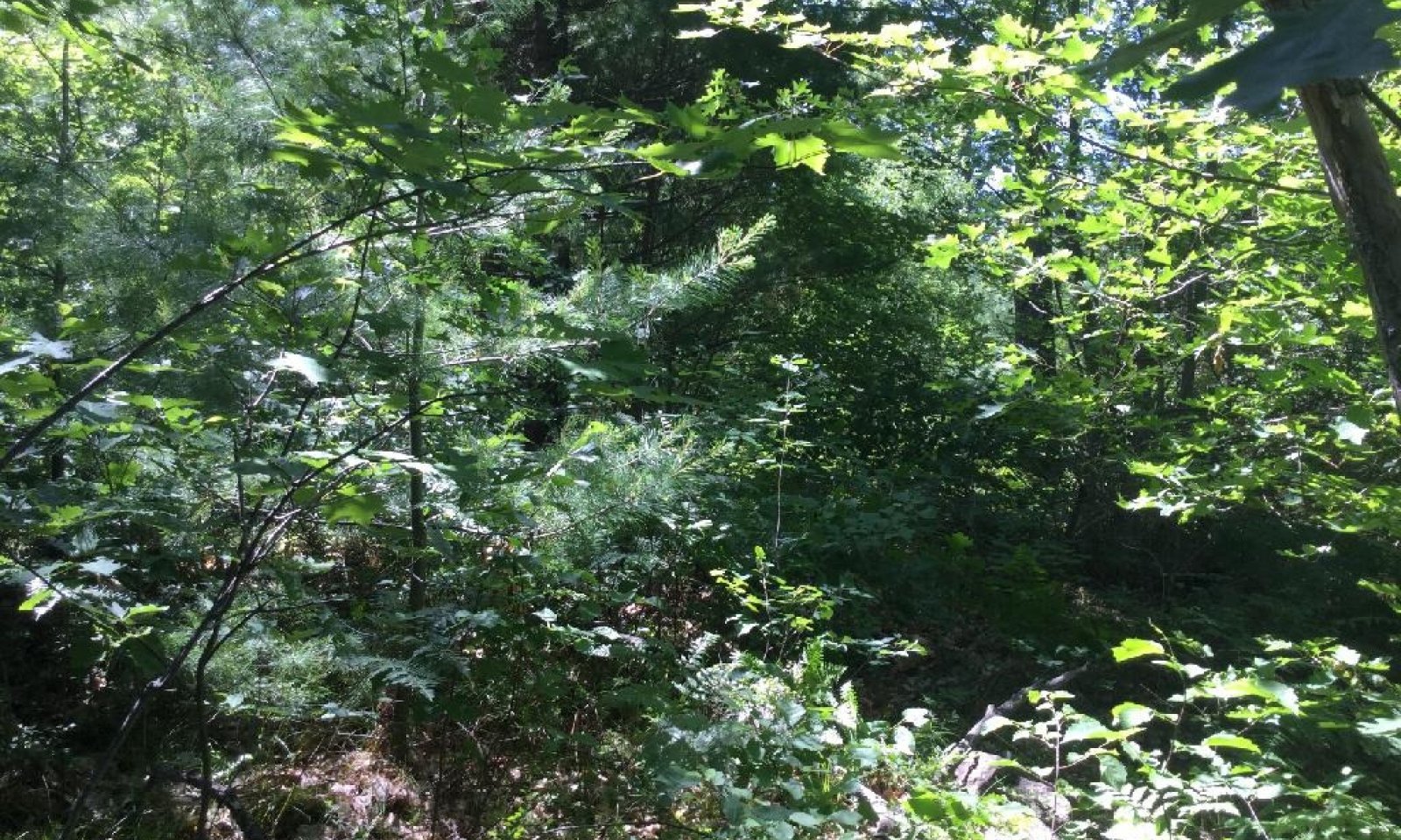 94B20JG074 (2)