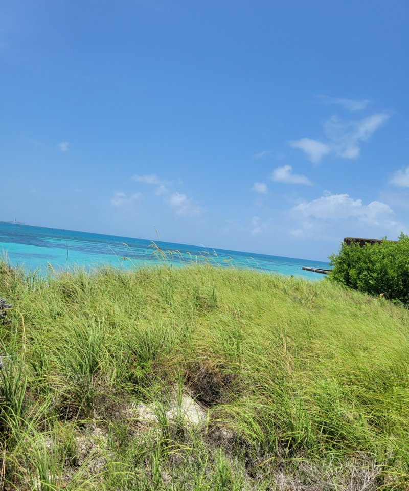 Dune DTNP
