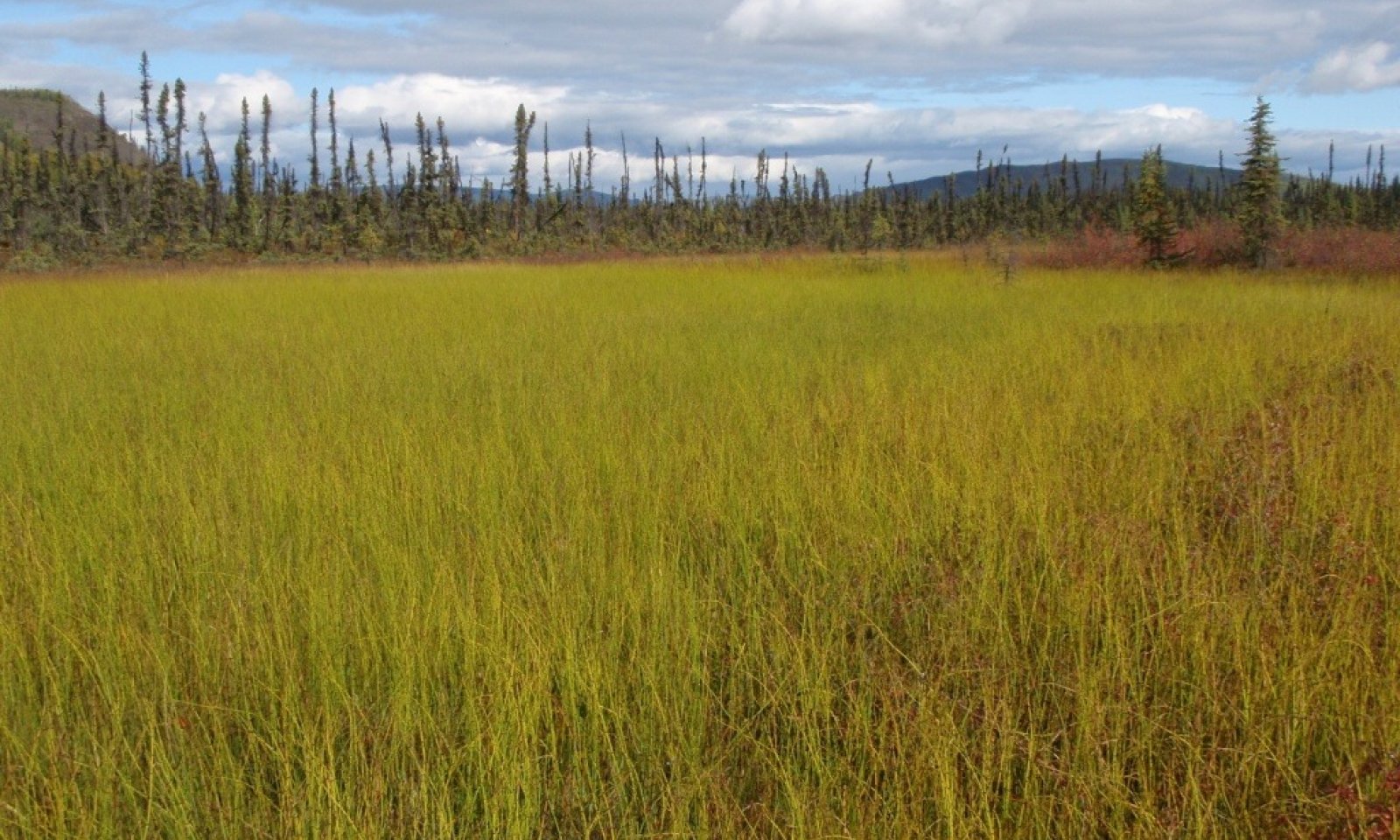P8260407