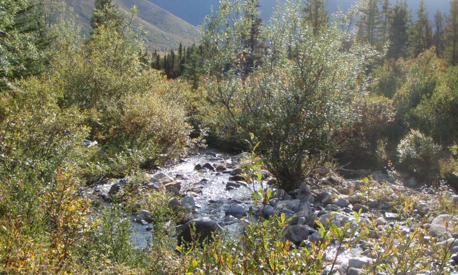 09NP02507