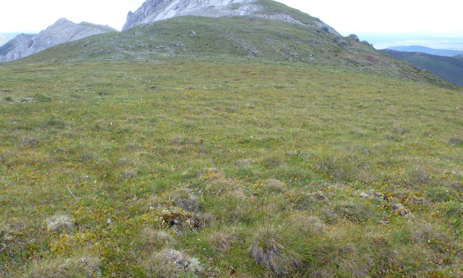 2016AK290627_RPC_2