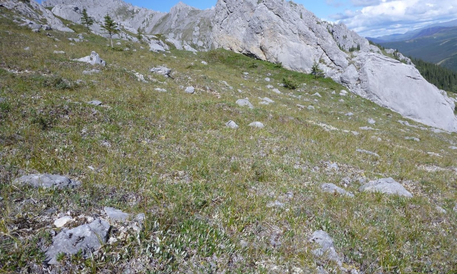 2015AK290551_12lowdq