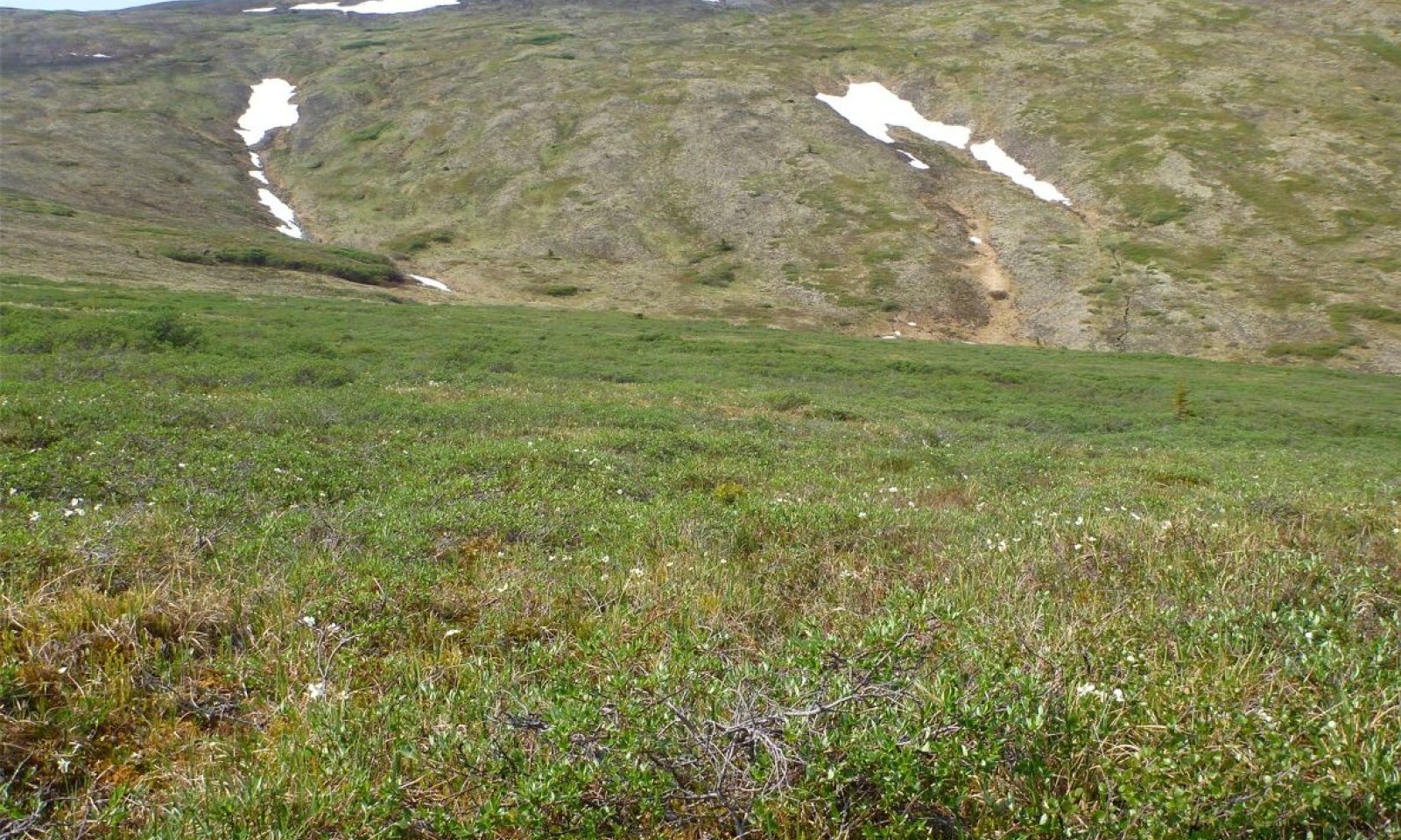 2017AK290526_RPClowdq