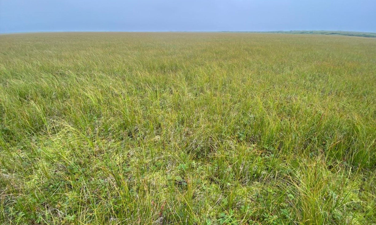 Capture_breached lake bed