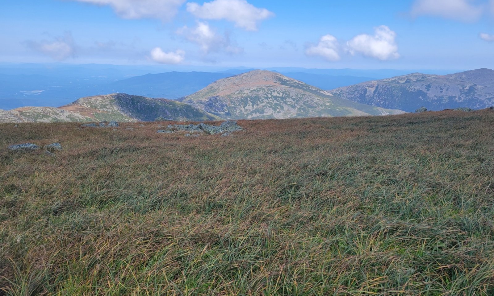 Bigelow Meadow