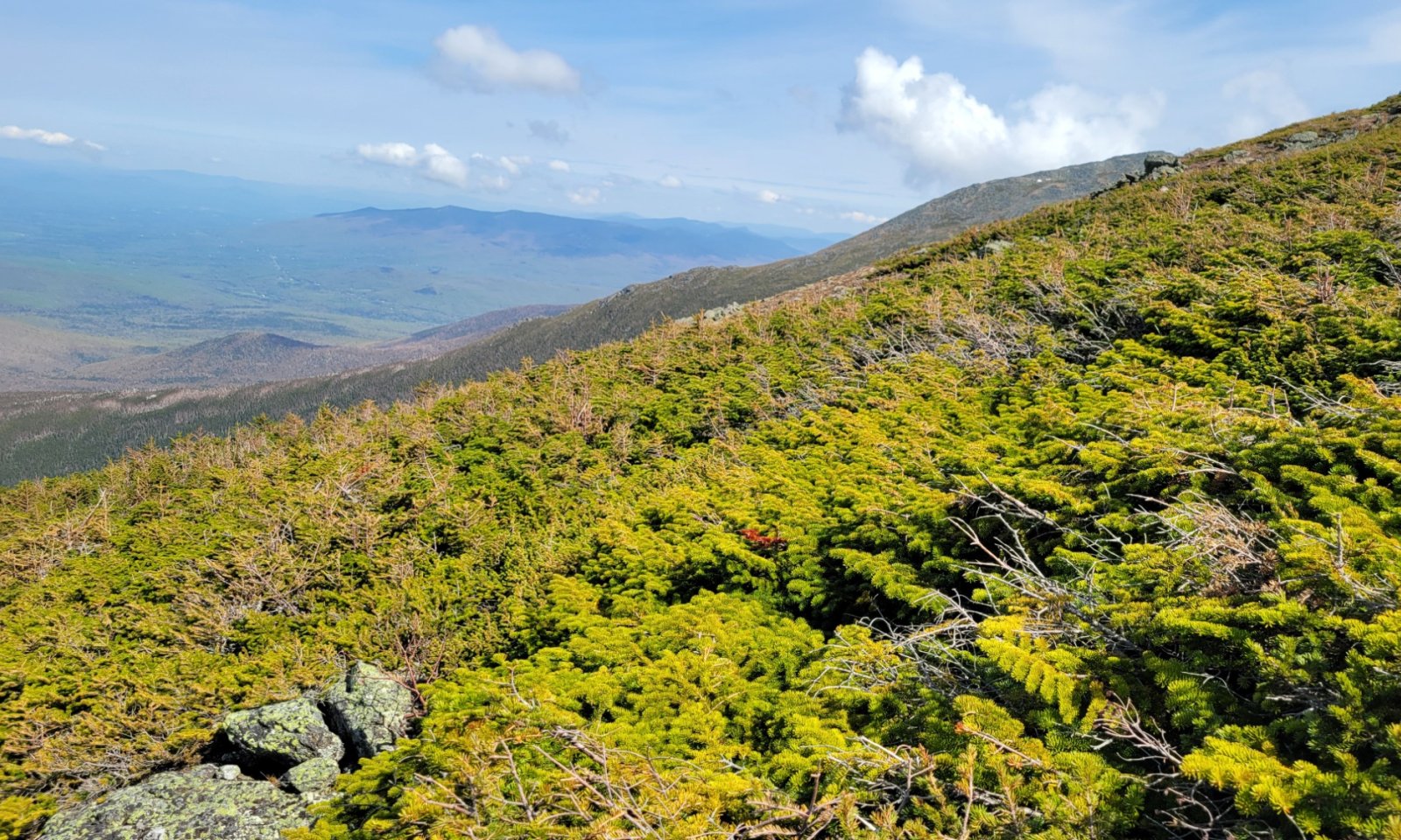 F143XY902ME - Mt Washington NH - 5.17.2024 - 2.1