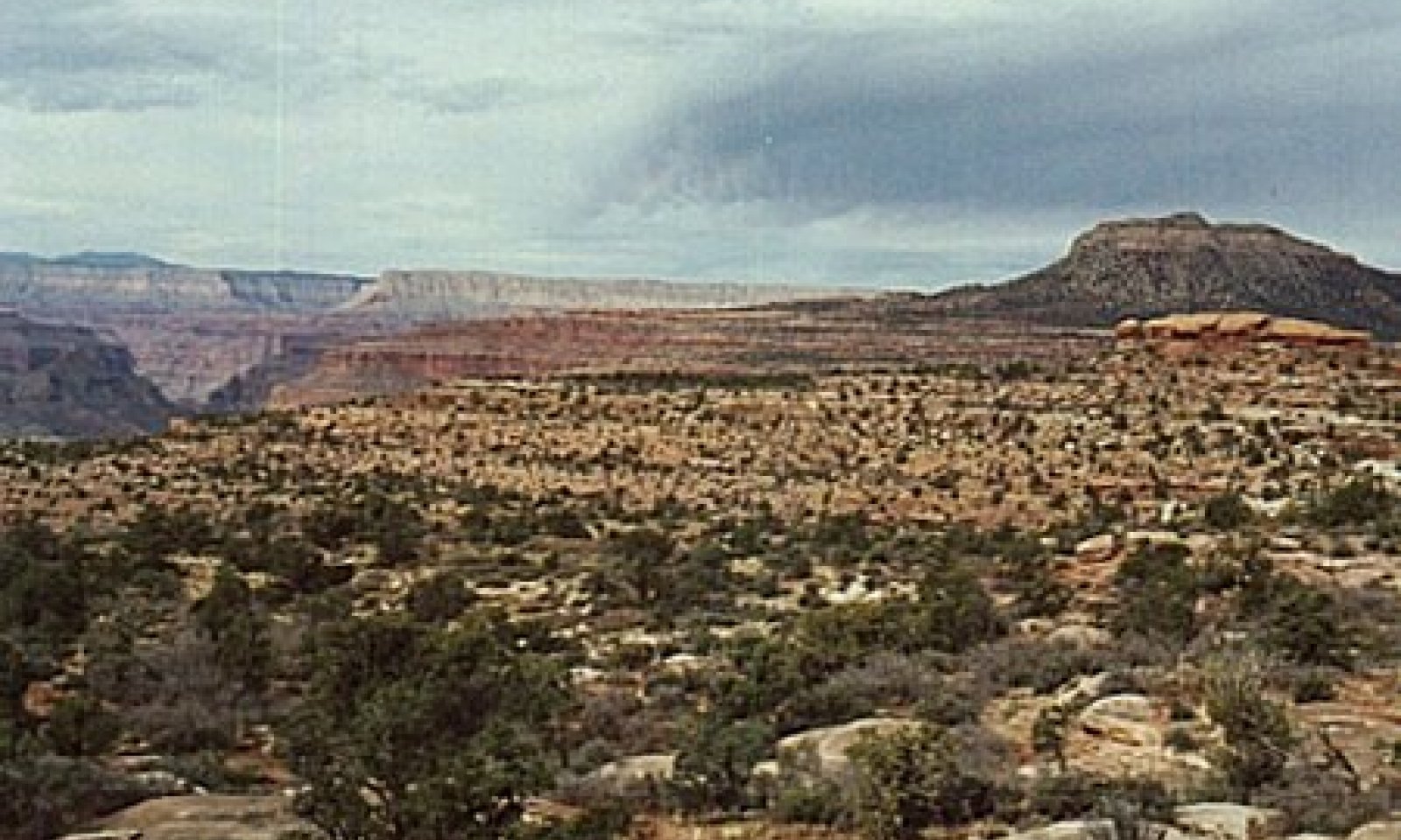 2002