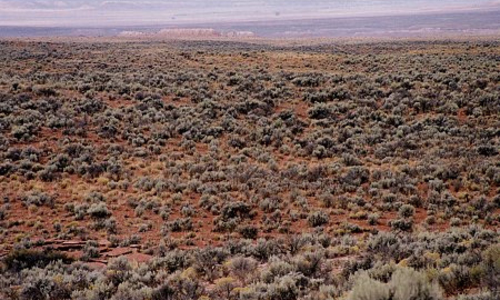 2003