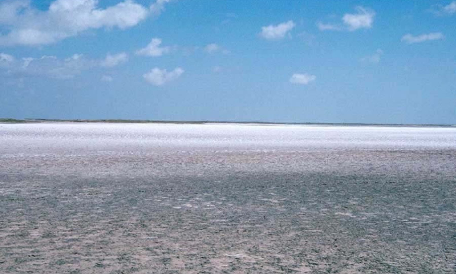 716_Sattaton_FS_Wind_Tidal_Flat
