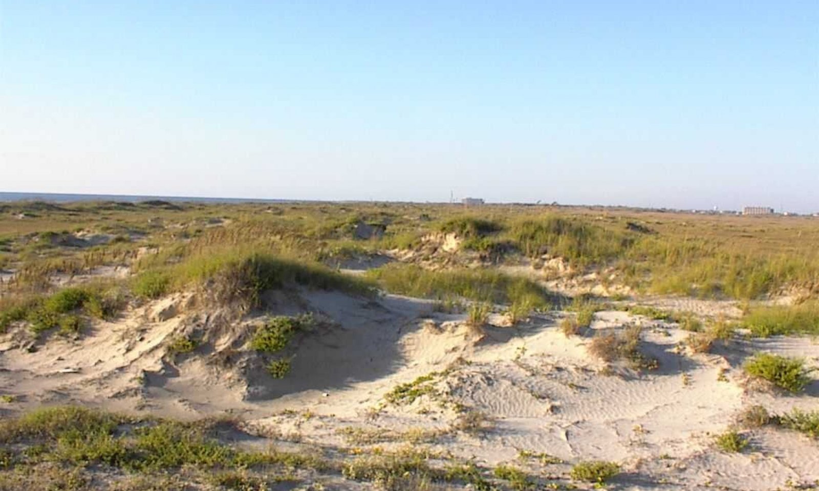 530_648_coastal sand