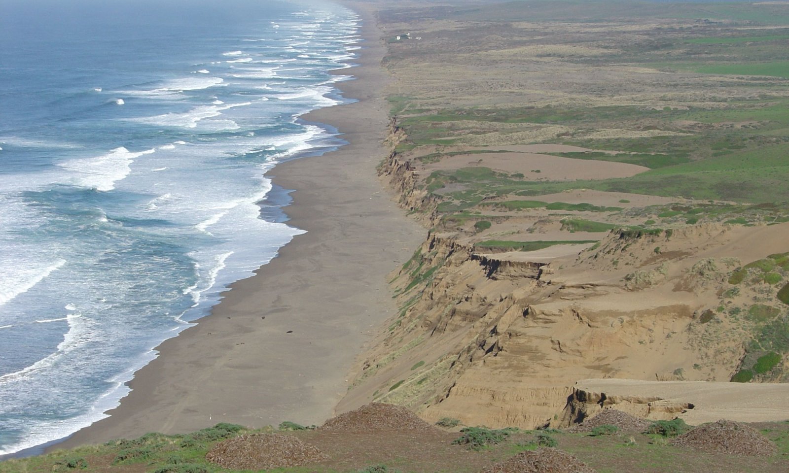 point_reyes3