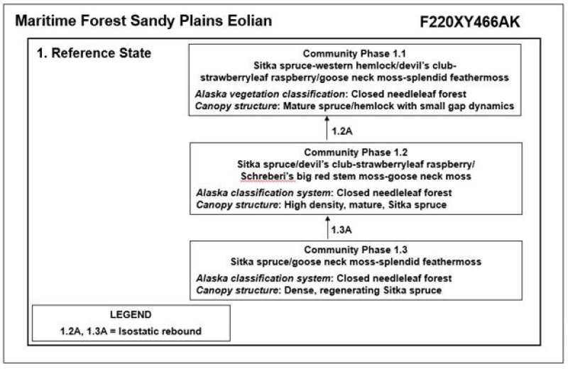 Model diagram