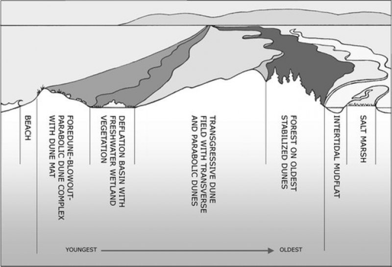 LanphereDunes_Diagram
