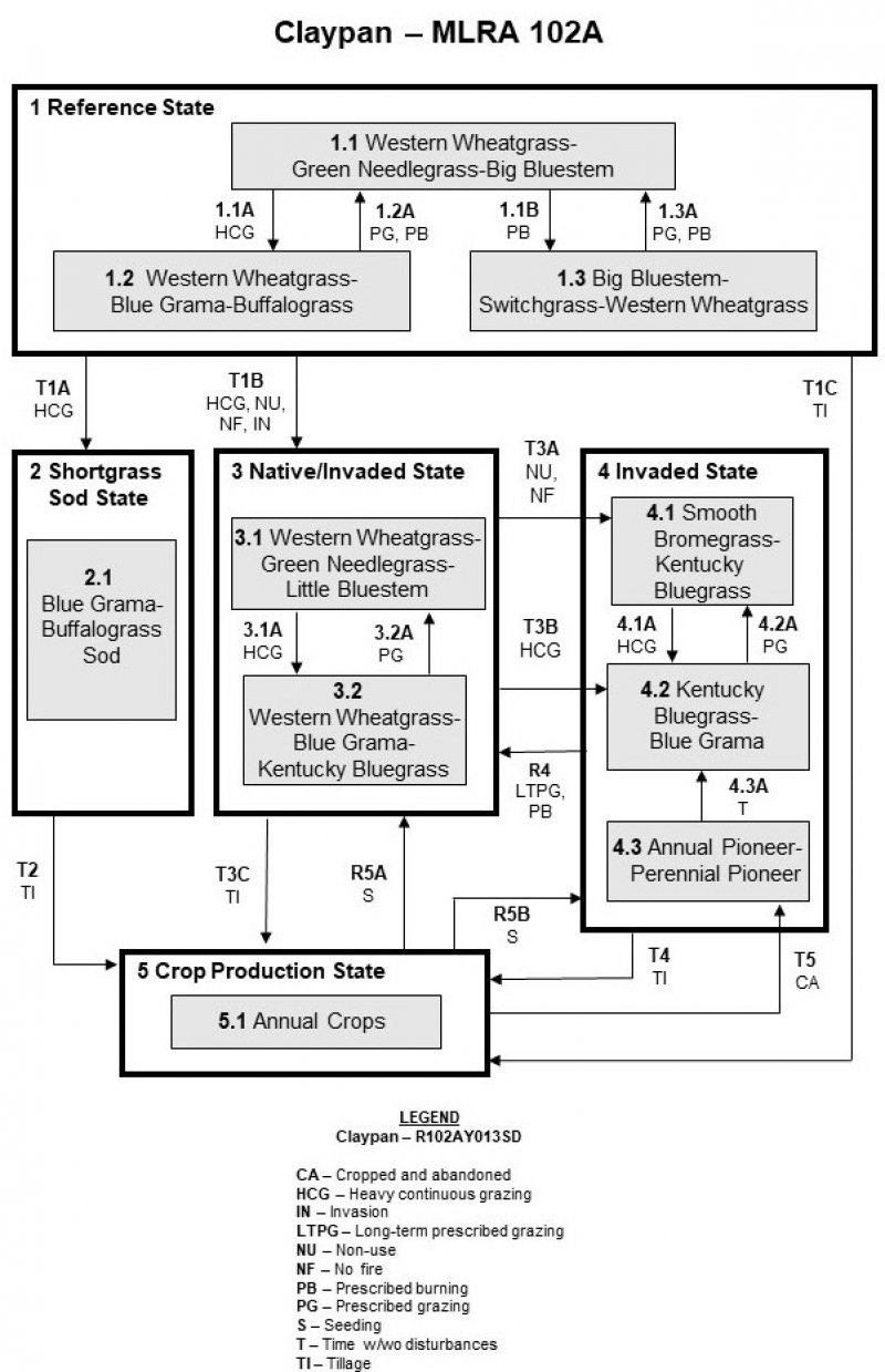 Model diagram
