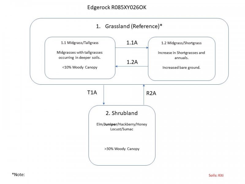 Model diagram
