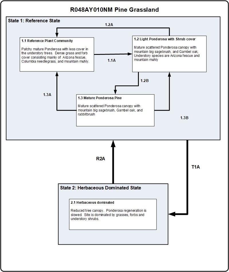 Model diagram