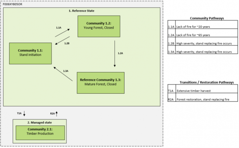 Model diagram