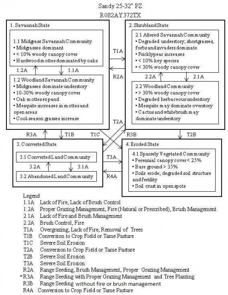 Model diagram