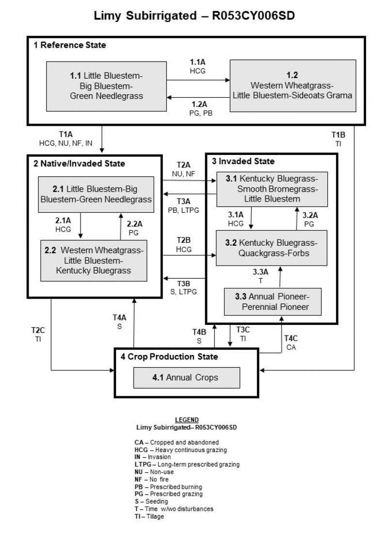 Model diagram