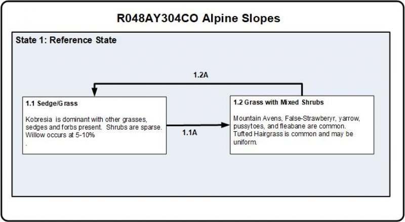 Model diagram