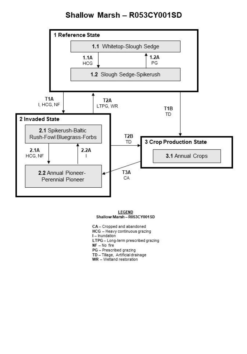 Model diagram