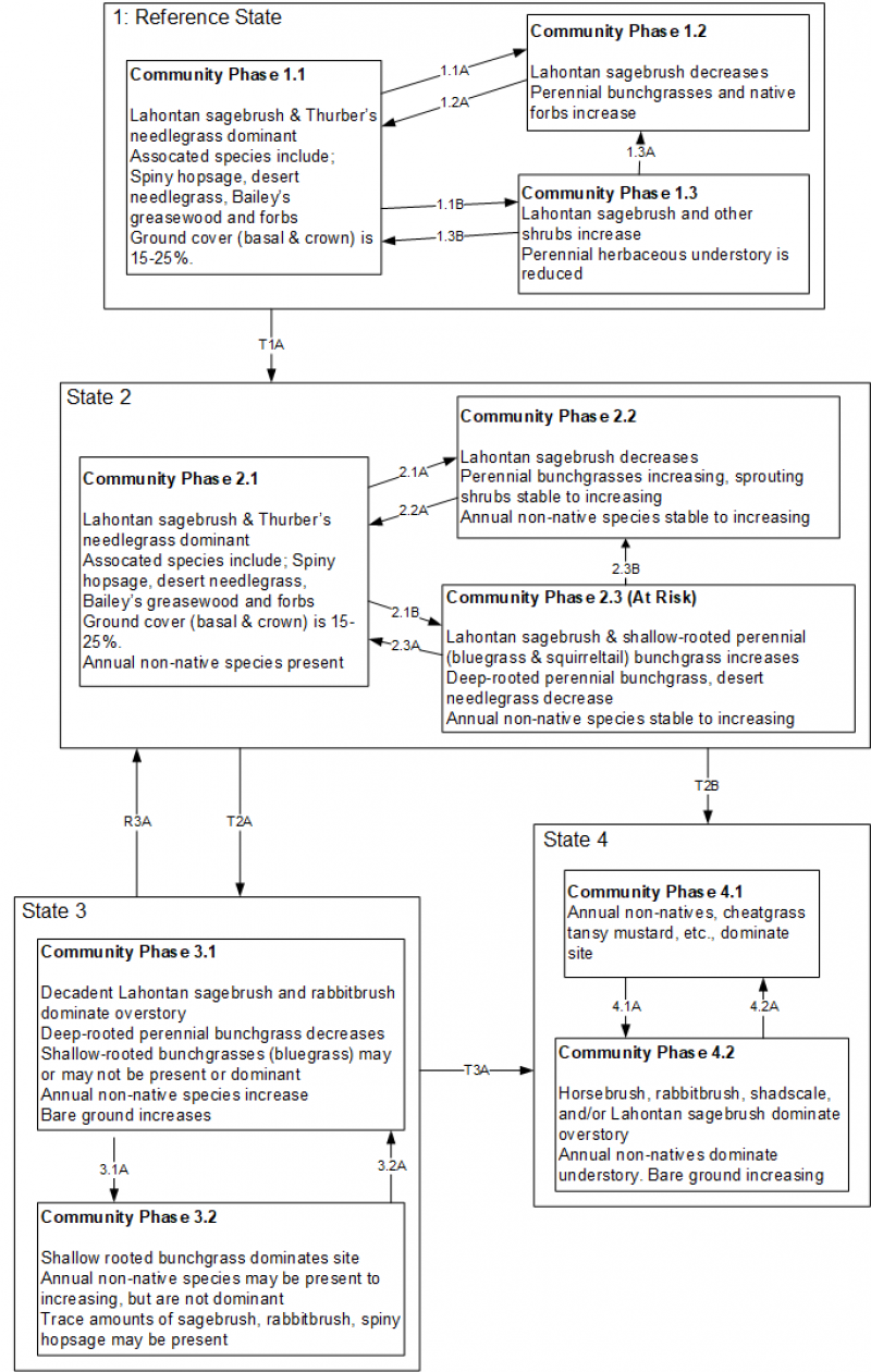 Model diagram