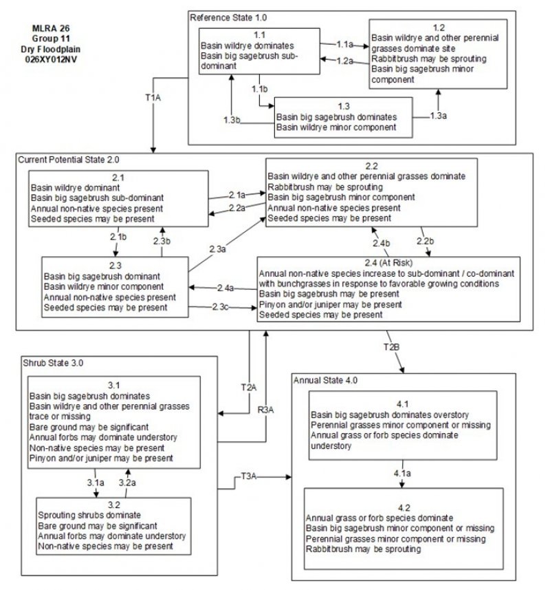 Model diagram