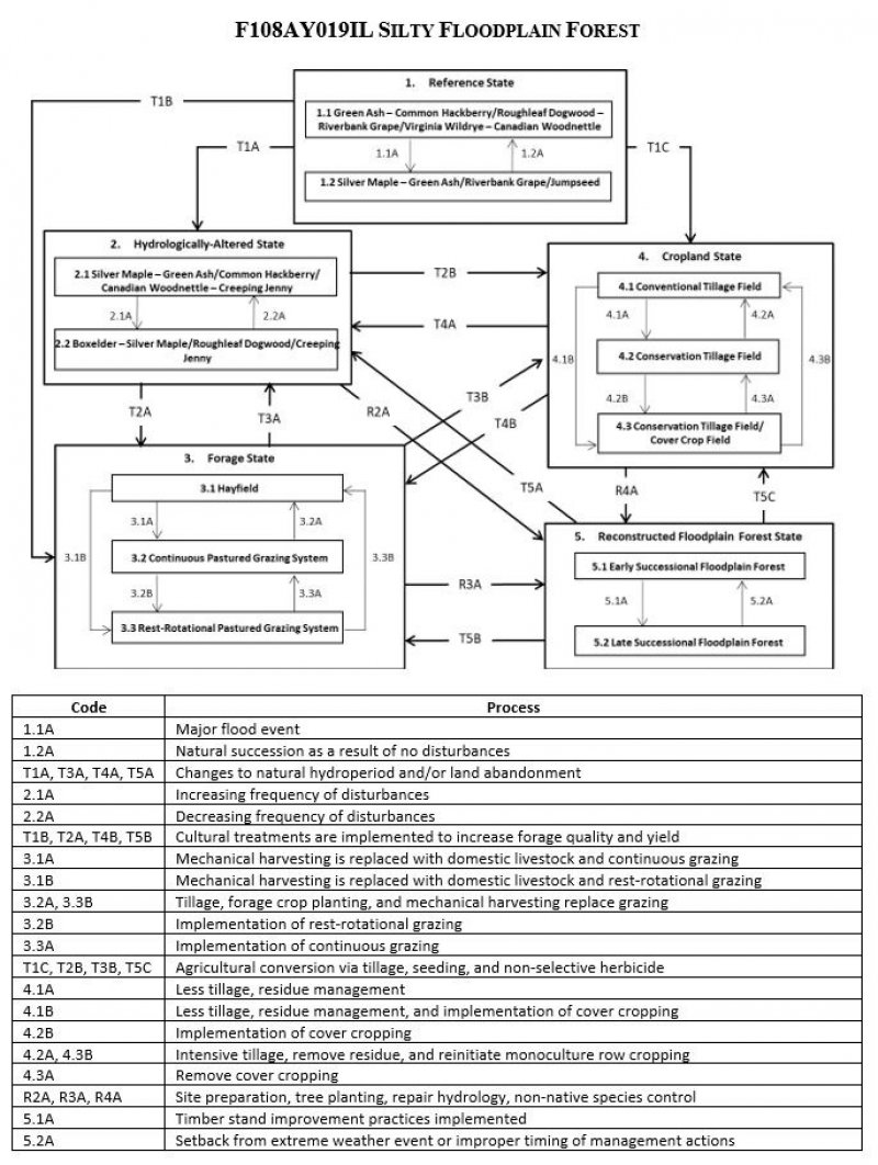 Model diagram