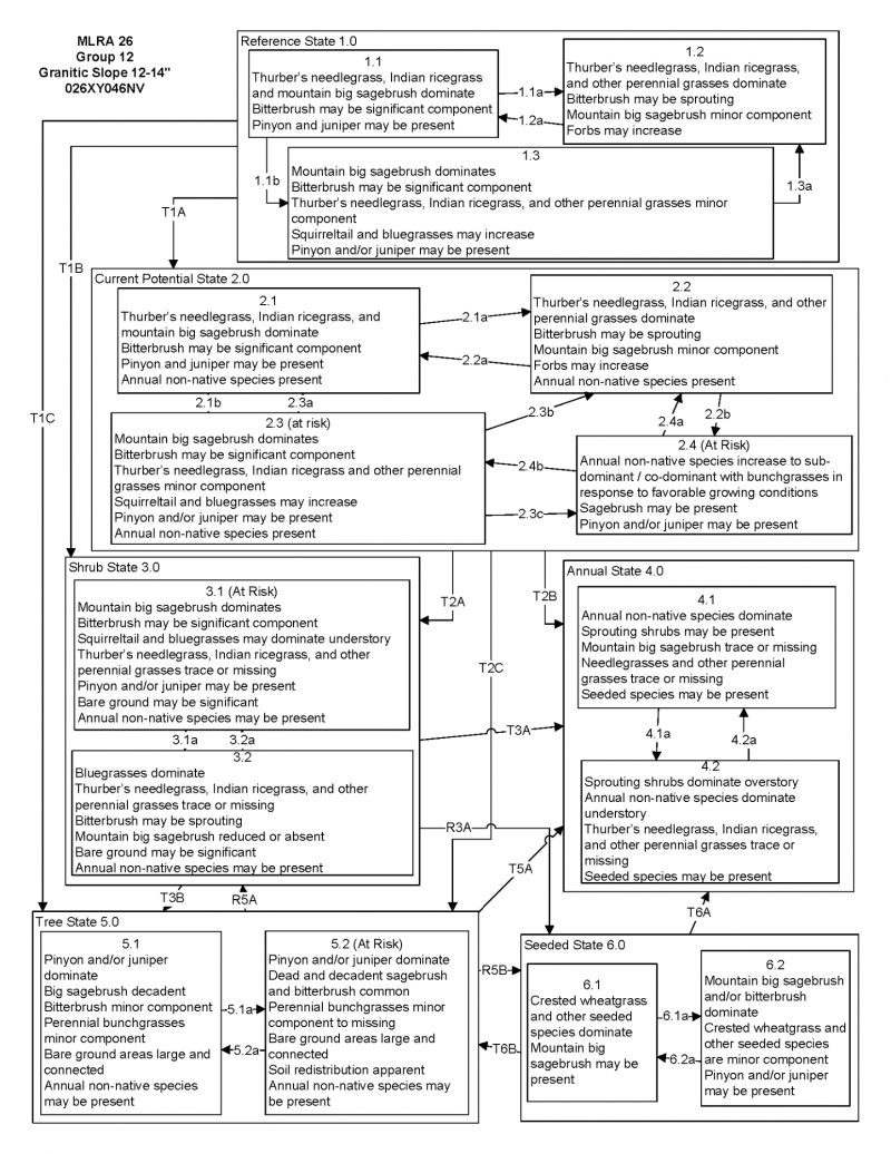 Model diagram