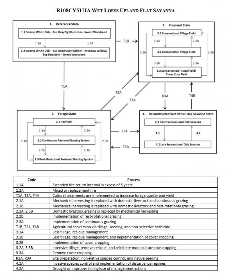 Model diagram