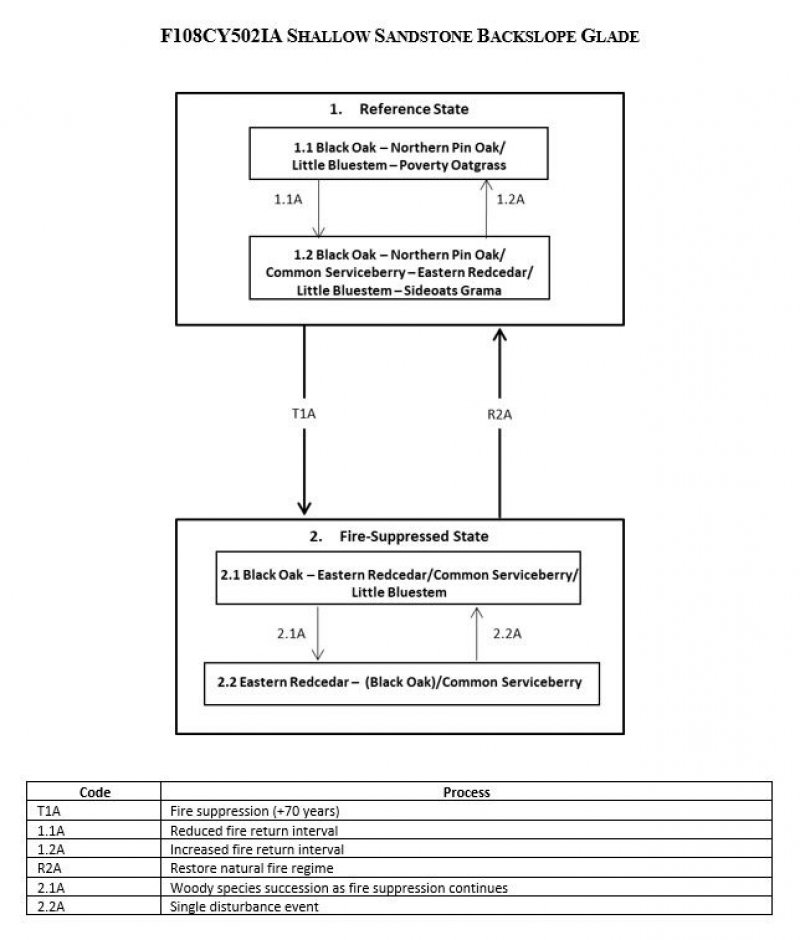 Model diagram